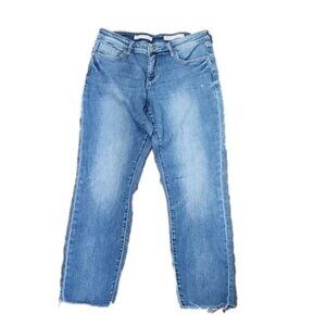 Anthropologie Pilcro & Letterpress distressed mid-rise Straight STET jeans 31